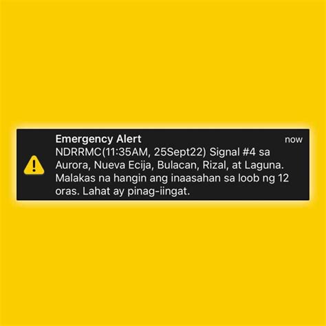 ndrrmc alert now